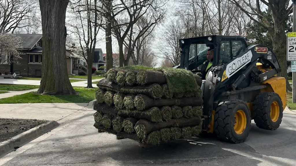 sod installation landscape