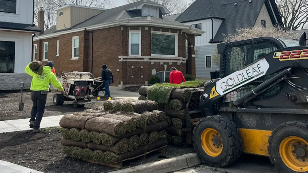 sod installation landscape team